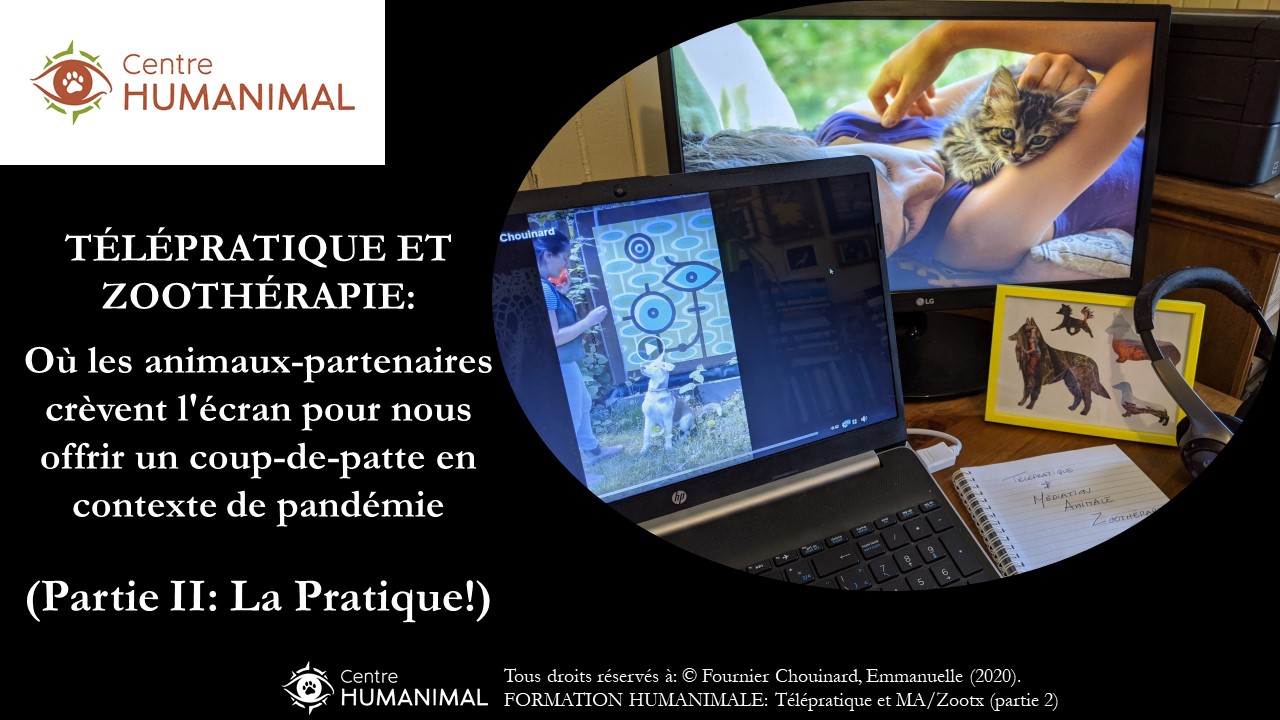 TÉLÉPRATIQUE ET MÉDIATION ANIMALE - ZOOTHÉRAPIE (Partie II - La Pratique !)