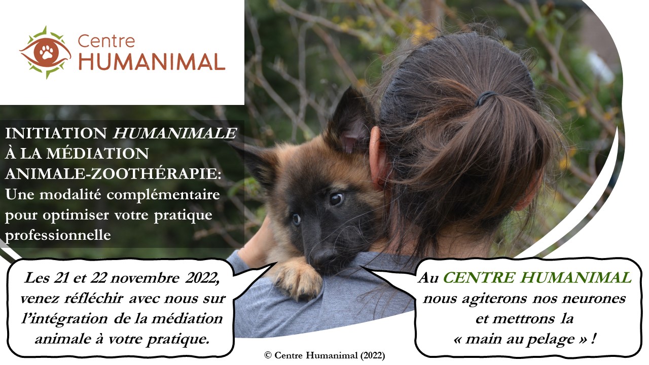 ÉTUDES HUMANIMALES à la pièce RANCH CHEVAL DE SOIE